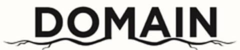 DOMAIN Logo (USPTO, 31.01.2020)