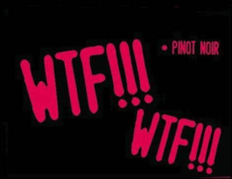 WTF!!! WTF!!! PINOT NOIR Logo (USPTO, 19.07.2011)