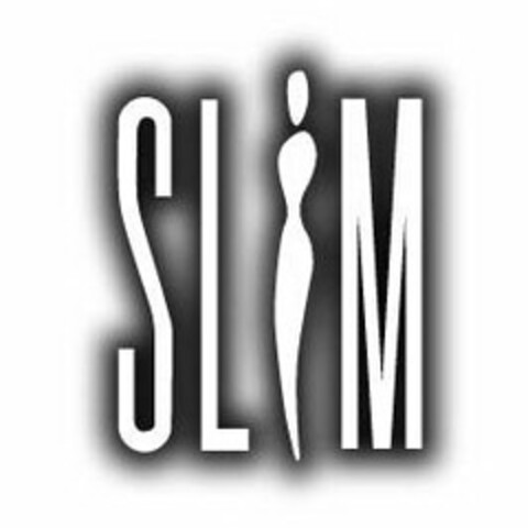 SLIM Logo (USPTO, 02.07.2013)