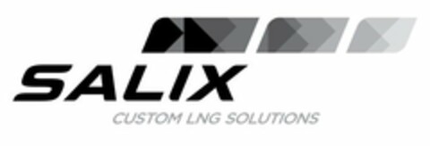 SALIX CUSTOM LNG SOLUTIONS Logo (USPTO, 06.08.2013)