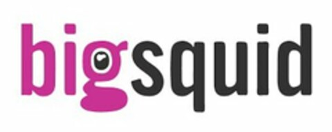 BIG SQUID Logo (USPTO, 07/11/2017)