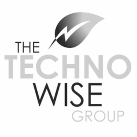 THE TECHNO WISE GROUP Logo (USPTO, 02.03.2009)