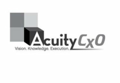 ACUITY CXO VISION. KNOWLEDGE. EXECUTION. Logo (USPTO, 12/17/2010)