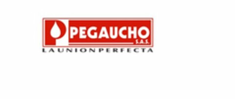 P PEGAUCHO S.A.S. LA UNION PERFECTA Logo (USPTO, 15.02.2013)