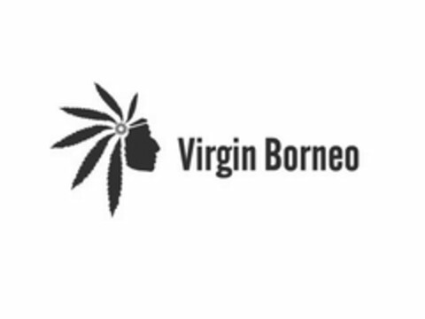 VIRGIN BORNEO Logo (USPTO, 08.02.2016)