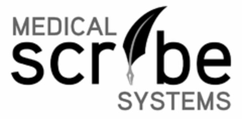 MEDICAL SCRIBE SYSTEMS Logo (USPTO, 20.01.2014)