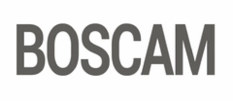 BOSCAM Logo (USPTO, 29.01.2015)