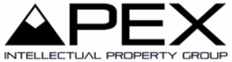 APEX INTELLECTUAL PROPERTY GROUP Logo (USPTO, 27.06.2017)