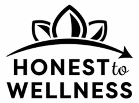 HONEST TO WELLNESS Logo (USPTO, 22.09.2017)