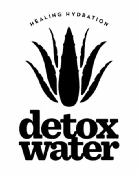 HEALING HYDRATION DETOX WATER Logo (USPTO, 01/11/2018)