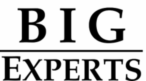 BIG EXPERTS Logo (USPTO, 18.02.2019)