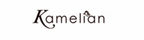 KAMELIAN Logo (USPTO, 08/31/2010)