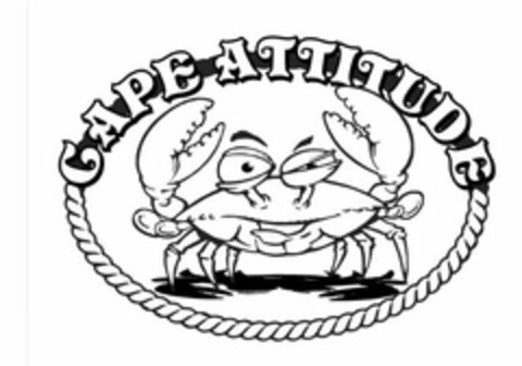 CAPE ATTITUDE Logo (USPTO, 17.05.2017)