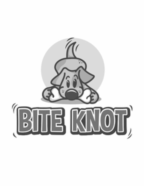 BITE KNOT Logo (USPTO, 12.07.2017)