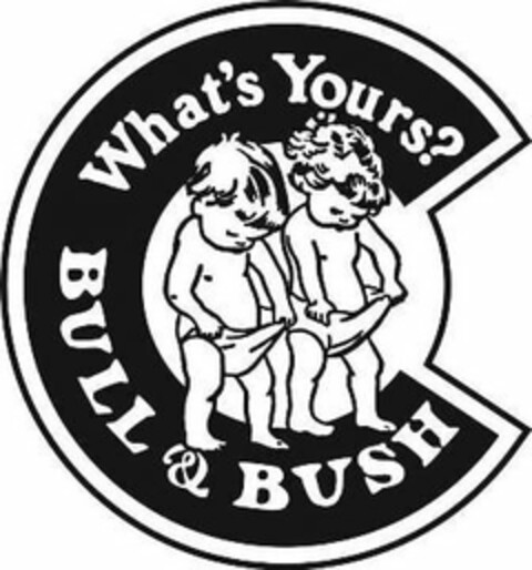 BULL & BUSH WHAT'S YOURS? Logo (USPTO, 10/06/2017)