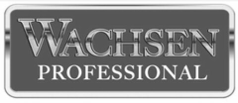 WACHSEN PROFESSIONAL Logo (USPTO, 12/12/2018)