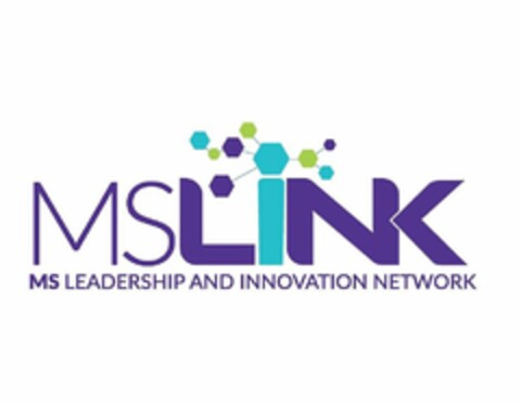 MSLINK MS LEADERSHIP AND INNOVATION NETWORK Logo (USPTO, 04.03.2019)