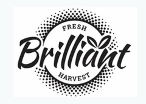 FRESH BRILLIANT HARVEST Logo (USPTO, 19.07.2019)