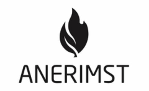 ANERIMST Logo (USPTO, 31.07.2019)