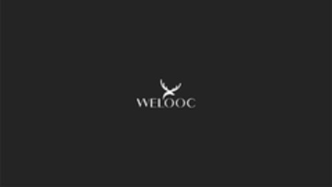 WELOOC Logo (USPTO, 11/04/2019)