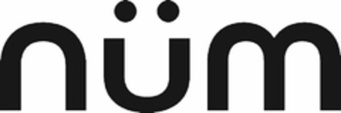 NUM Logo (USPTO, 19.03.2020)