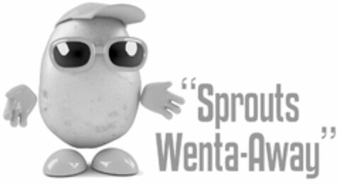 "SPROUTS WENTA-AWAY" Logo (USPTO, 18.05.2020)