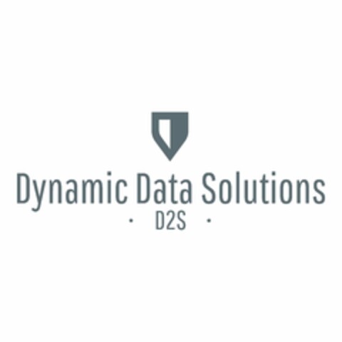 DYNAMIC DATA SOLUTIONS ·D2S· Logo (USPTO, 08/31/2020)