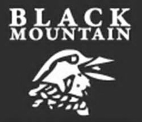 BLACK MOUNTAIN Logo (USPTO, 30.09.2013)