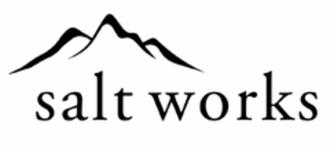 SALT WORKS Logo (USPTO, 08/25/2017)