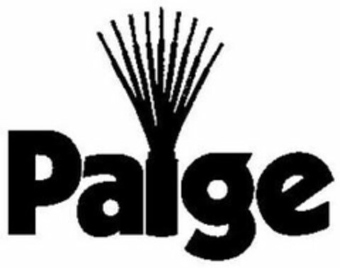 PAIGE Logo (USPTO, 17.04.2018)