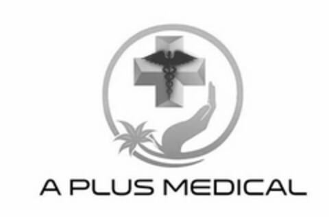 A PLUS MEDICAL Logo (USPTO, 30.10.2018)