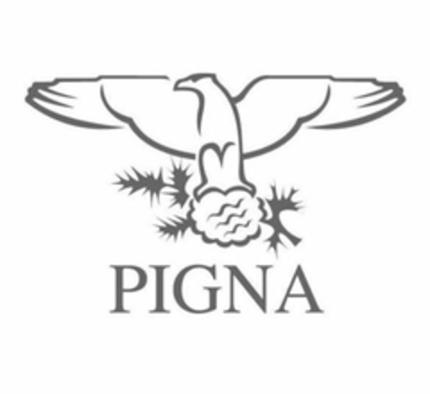 PIGNA Logo (USPTO, 05.12.2018)