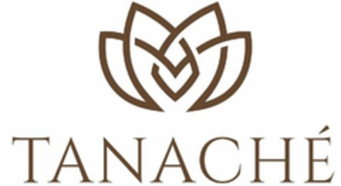 TANACHÉ Logo (USPTO, 12/27/2018)