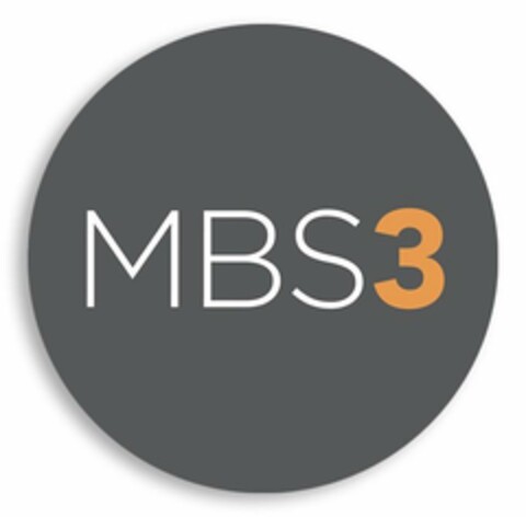 MBS3 Logo (USPTO, 02/05/2019)