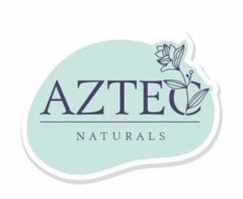 AZTEC NATURALS Logo (USPTO, 31.03.2020)