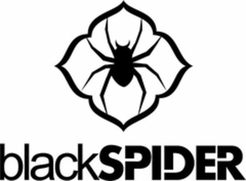 BLACKSPIDER Logo (USPTO, 13.06.2016)