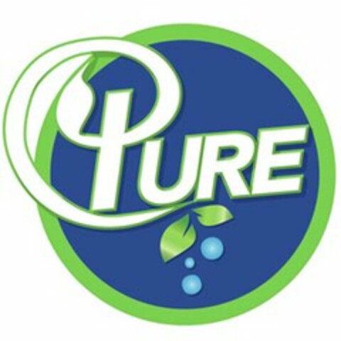 PURE Logo (USPTO, 30.06.2016)