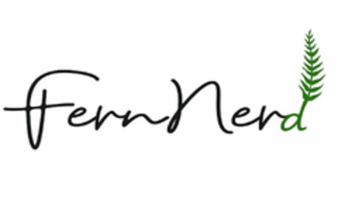 FERN NERD Logo (USPTO, 15.07.2019)