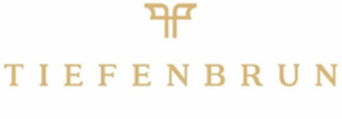 TIEFENBRUN Logo (USPTO, 14.11.2019)