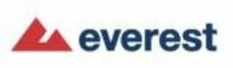 EVEREST Logo (USPTO, 10.08.2020)