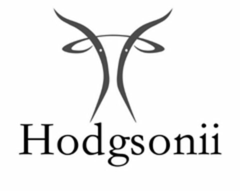 HODGSONII Logo (USPTO, 09/11/2020)