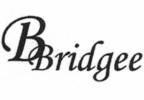 BBRIDGEE Logo (USPTO, 13.03.2009)