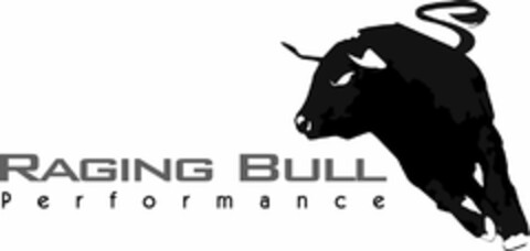 RAGING BULL PERFORMANCE Logo (USPTO, 08/17/2010)