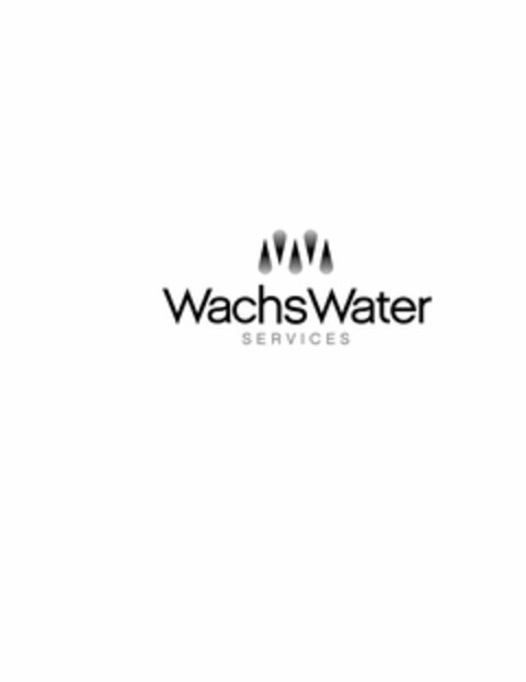 W WACHS WATER SERVICES Logo (USPTO, 08/24/2010)