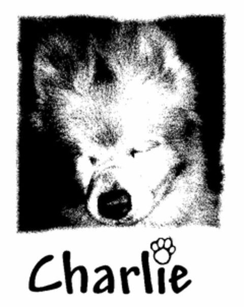 CHARLIE Logo (USPTO, 19.11.2013)