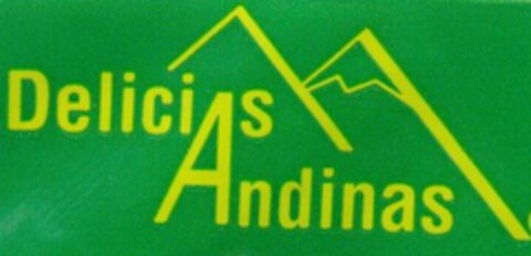 DELICIAS ANDINAS Logo (USPTO, 17.05.2010)