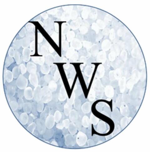 NWS Logo (USPTO, 10.06.2013)