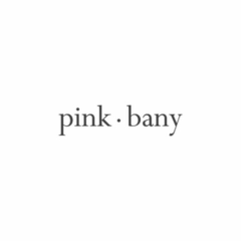 PINK · BANY Logo (USPTO, 09.09.2019)