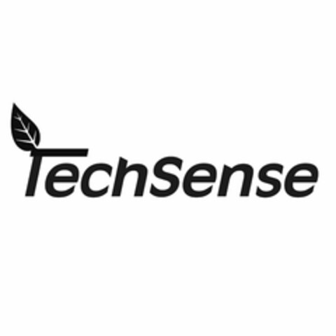 TECHSENSE Logo (USPTO, 10.06.2020)