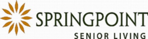 SPRINGPOINT Logo (USPTO, 10/13/2009)